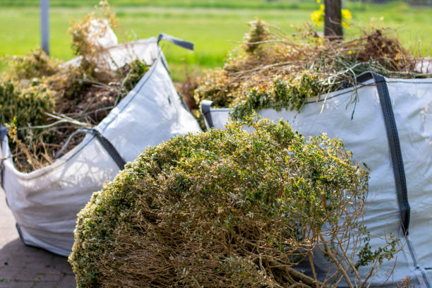 Best Office Junk Removal  in South Patrick Shores, FL